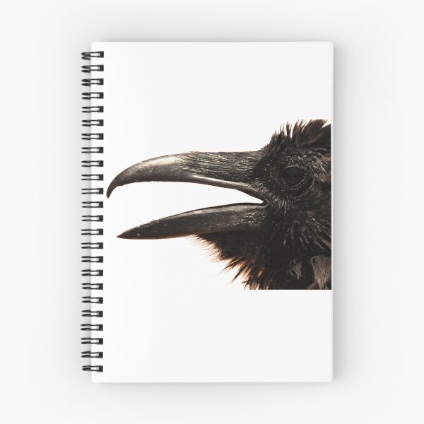 Item preview, Raven. harbinger · Mother Carey's chicken · omen · rebel · red flag · storm petrel. Crow, Corvus corax.  designed and sold by TheNatureTalent.