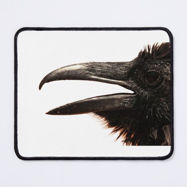 Item preview, Raven. harbinger · Mother Carey's chicken · omen · rebel · red flag · storm petrel. Crow, Corvus corax. designed and sold by TheNatureTalent.