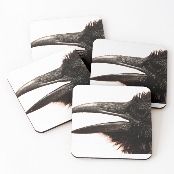 Item preview, Raven. harbinger · Mother Carey's chicken · omen · rebel · red flag · storm petrel. Crow, Corvus corax.  designed and sold by TheNatureTalent.