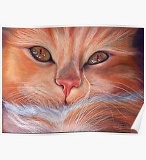 Soft Kitty, Warm Kitty... Poster