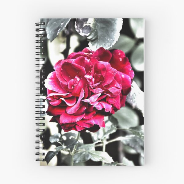 Item preview, autumn rose designed and sold by Michael Hofmann.