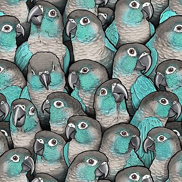 Artwork thumbnail, Turquoise Green-Cheeked Conures by MaratusFunk