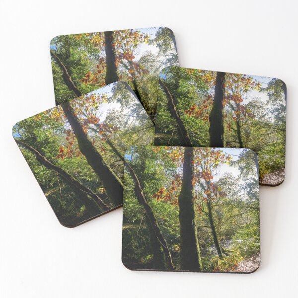 Item preview, Autumn, Afon Pyrddin, Pontneddfechan, South Wales designed and sold by VnGphoto.