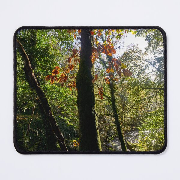 Item preview, Autumn, Afon Pyrddin, Pontneddfechan, South Wales designed and sold by VnGphoto.