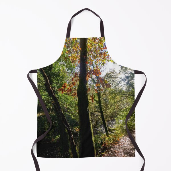 Item preview, Autumn, Afon Pyrddin, Pontneddfechan, South Wales designed and sold by VnGphoto.