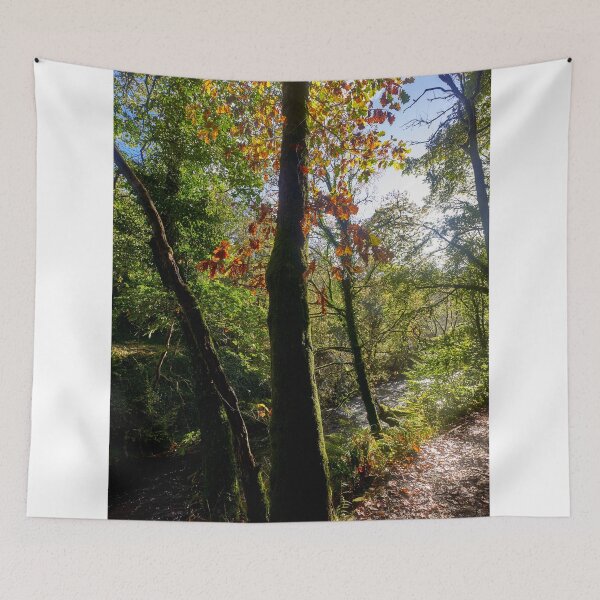 Item preview, Autumn, Afon Pyrddin, Pontneddfechan, South Wales designed and sold by VnGphoto.