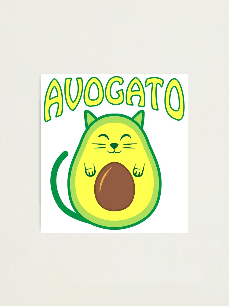 Cute Avogato Photographic Print