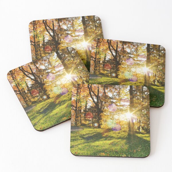 Item preview, Autumn park with sun rays through foliage. Sunny autumn landscape with golden trees in a city park. Beautiful fall background. designed and sold by annamiss.