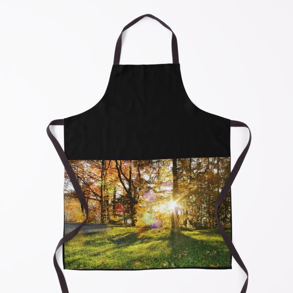 Item preview, Autumn park with sun rays through foliage. Sunny autumn landscape with golden trees in a city park. Beautiful fall background. designed and sold by annamiss.