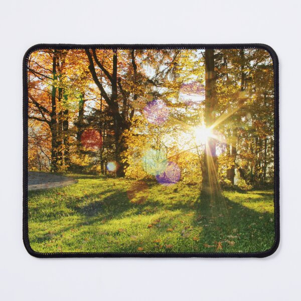 Artikelvorschau, Autumn park with sun rays through foliage. Sunny autumn landscape with golden trees in a city park. Beautiful fall background. entworfen und verkauft von annamiss.