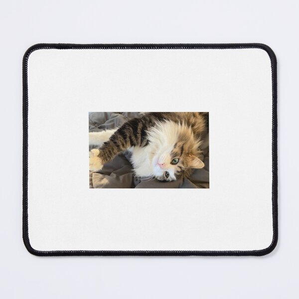 Item preview, koda, our beautiful boy designed and sold by Lanie B Meyer.