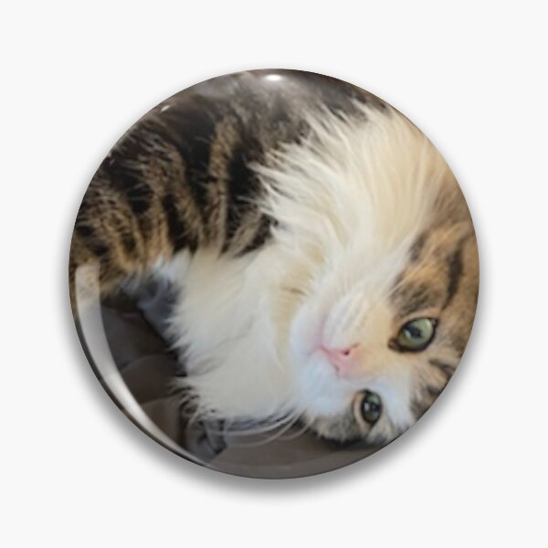 Item preview, koda, our beautiful boy designed and sold by Lanie B Meyer.