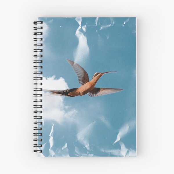 Item preview, Planalto Hermit Hummingbird - Art002 designed and sold by anafrancisconi.