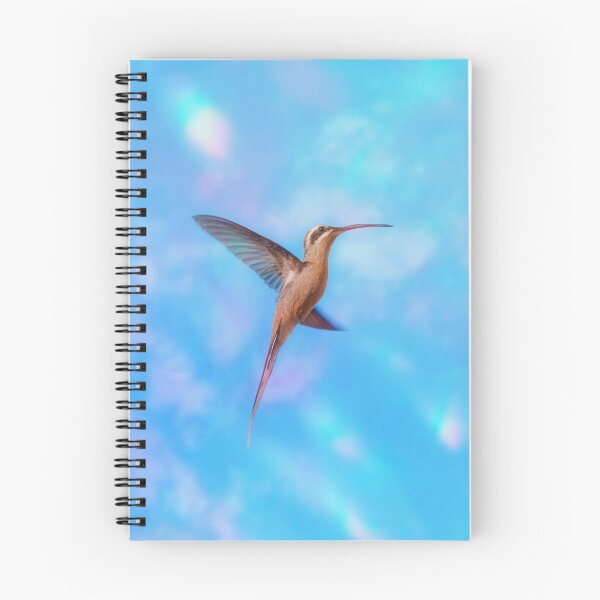 Item preview, Planalto Hermit Hummingbird - Art005 designed and sold by anafrancisconi.