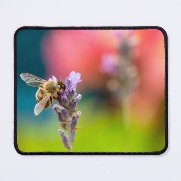 Item preview, Honeybee Pollinating designed and sold by Tanya C  Smith.