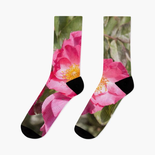 Item preview, Begonia designed and sold by Raspberry-Cat.