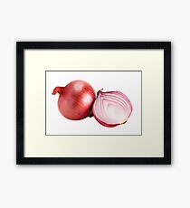 Red onion Framed Print