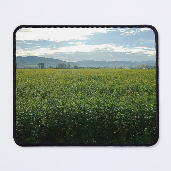 Item preview, Early Morning in Breisgau- Hochschwarzwald designed and sold by Dreammkd.