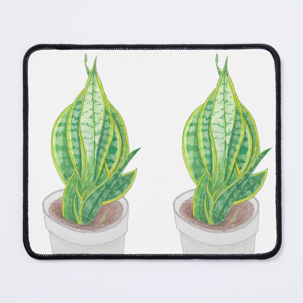 Item preview, Sansevieria Houseplant designed and sold by thelittleforest.