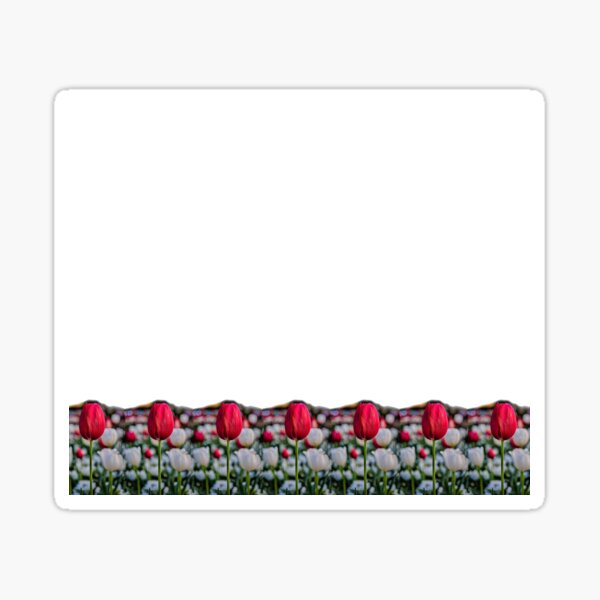 Red tulip streamline Sticker