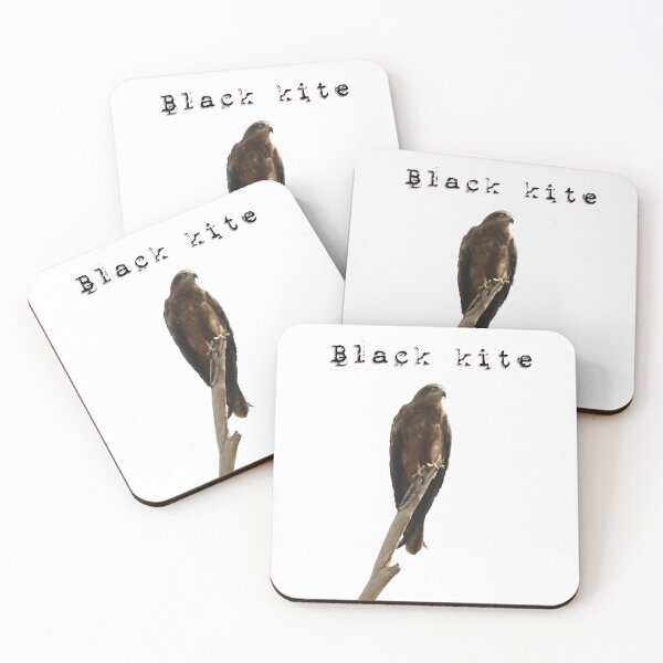 Item preview, Black kite designed and sold by LaGalleria-BNS by Moses Benson Gallery.