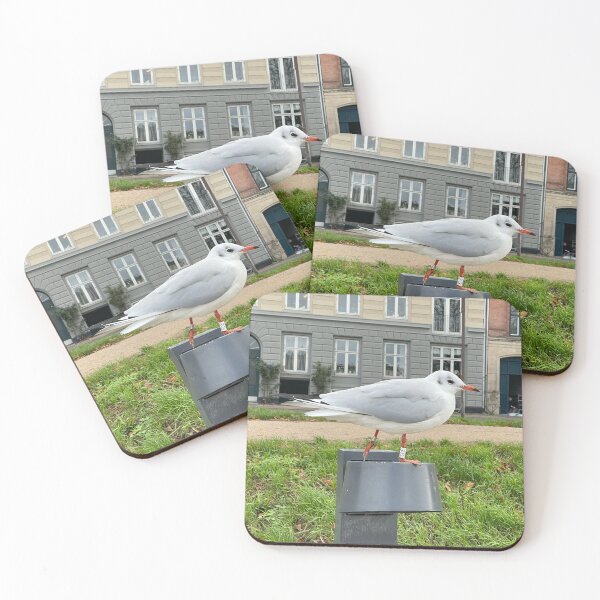 Item preview, Hooded Gull • The Lakes, Copenhagen 2022 designed and sold by Mortinus.