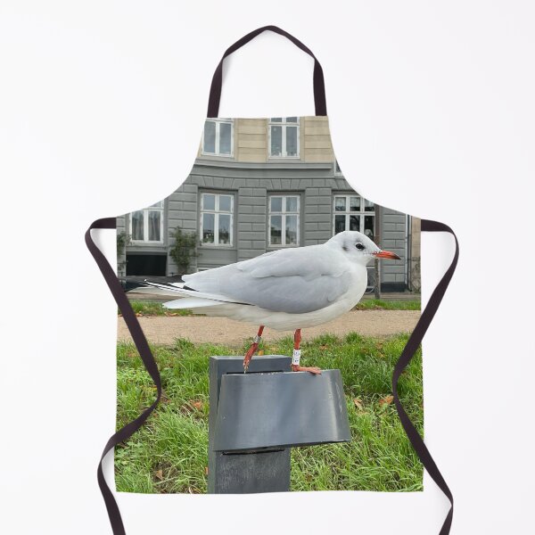 Item preview, Hooded Gull • The Lakes, Copenhagen 2022 designed and sold by Mortinus.