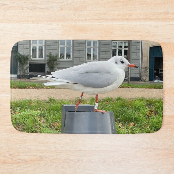 Item preview, Hooded Gull • The Lakes, Copenhagen 2022 designed and sold by Mortinus.