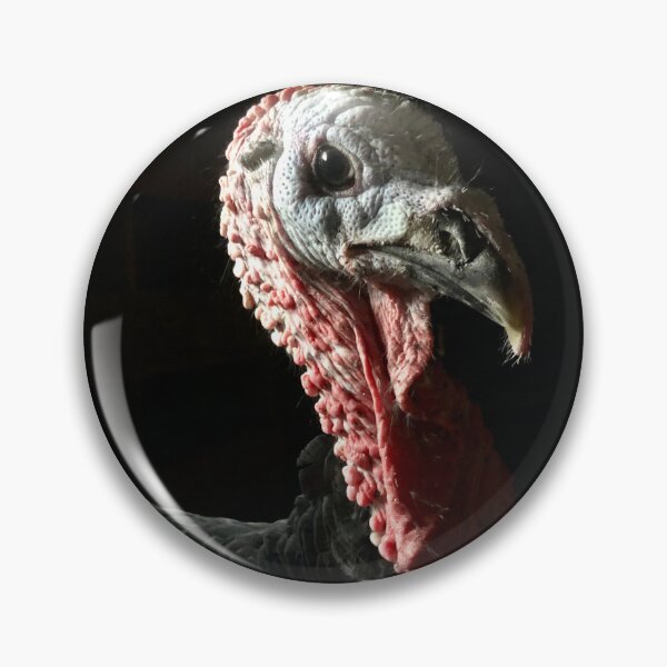 Item preview, Leopold the Arstian Gold Turkey designed and sold by Mseabro98.