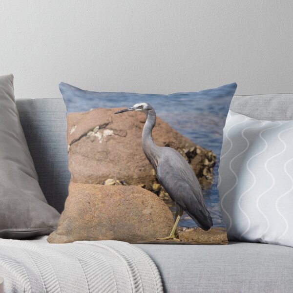 Item preview, heron at the beach designed and sold by Anne Scantlebury.