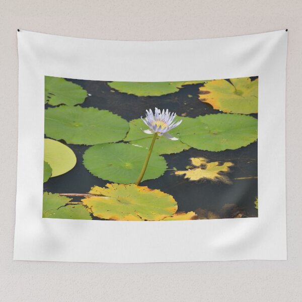 Item preview, Pond Flowers & Lilypads  -  S.M Photog.  designed and sold by sophiemonie.