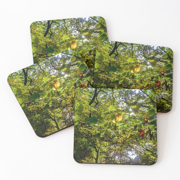 Item preview, Alder Tree in Autumn, Pontneddfechan, South Wales designed and sold by VnGphoto.
