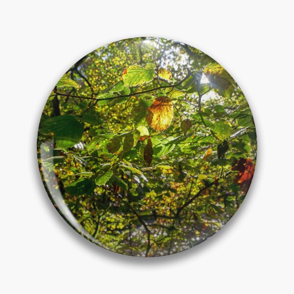 Item preview, Alder Tree in Autumn, Pontneddfechan, South Wales designed and sold by VnGphoto.