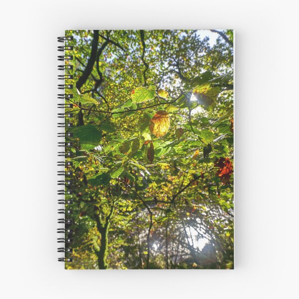 Item preview, Alder Tree in Autumn, Pontneddfechan, South Wales designed and sold by VnGphoto.