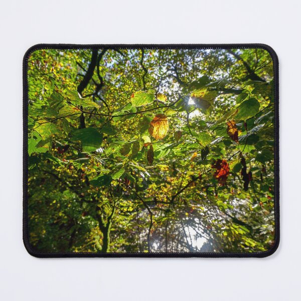 Item preview, Alder Tree in Autumn, Pontneddfechan, South Wales designed and sold by VnGphoto.