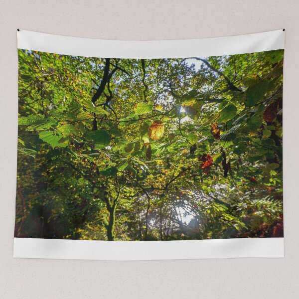 Item preview, Alder Tree in Autumn, Pontneddfechan, South Wales designed and sold by VnGphoto.