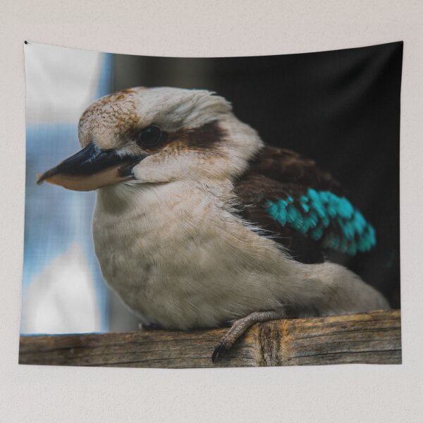 Item preview, Kookaburra sitting on a perch designed and sold by Teniche.