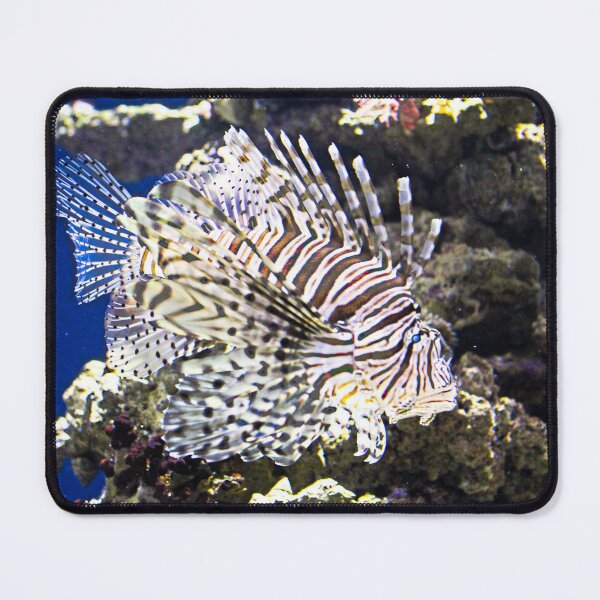 Item preview, Lionfish designed and sold by Martha Sherman.
