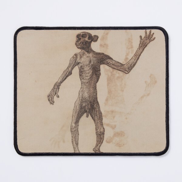 Item preview, Monkey Standing designed and sold by Old-fowers.
