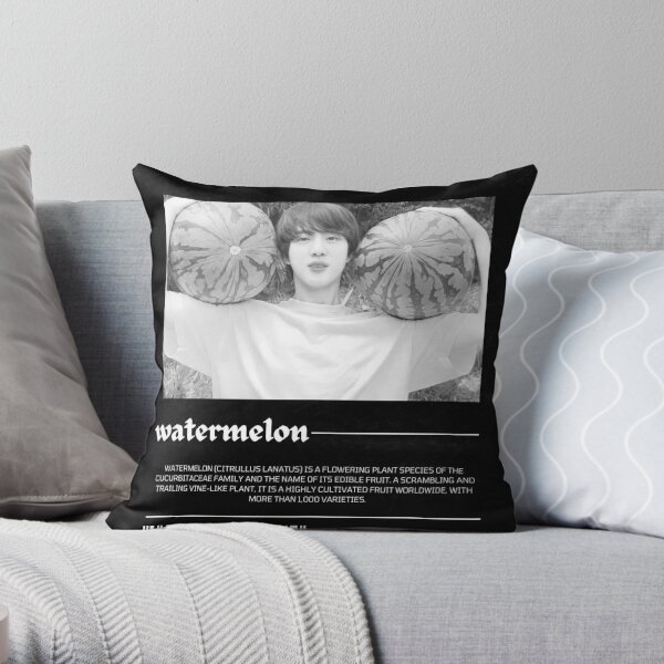 Jin Smile Bts Pillow Case Cover