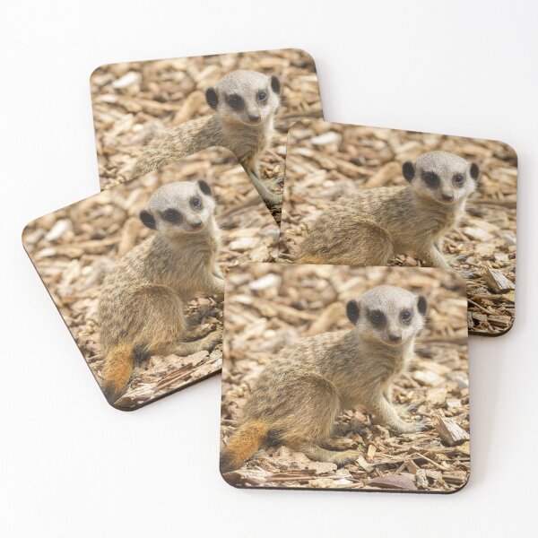 Item preview, Baby Meerkat designed and sold by rawshutterbug.