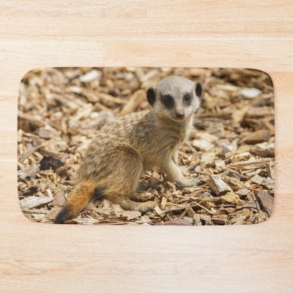 Item preview, Baby Meerkat designed and sold by rawshutterbug.