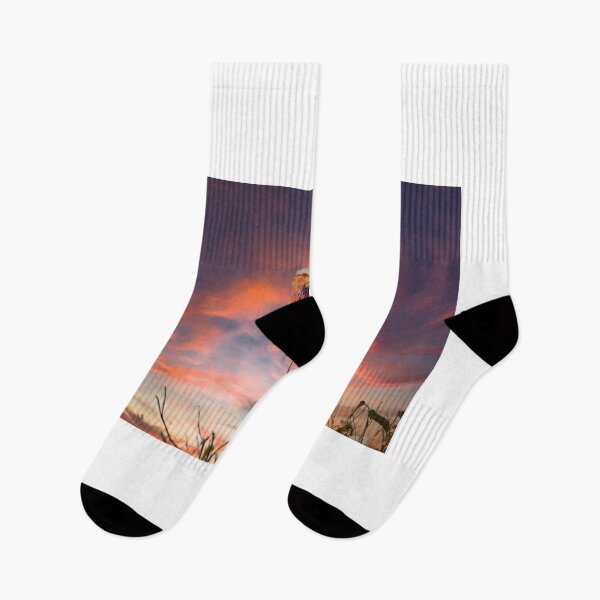 Item preview, Fork roller in front of the setting sun designed and sold by Ingo Gerlach.
