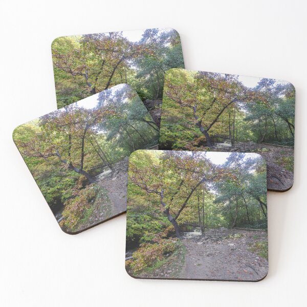 Item preview, Bridge over the Afon Pyrddin, Pontneddfechan, Neath, South Wales designed and sold by VnGphoto.
