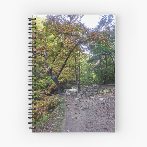 Item preview, Bridge over the Afon Pyrddin, Pontneddfechan, Neath, South Wales designed and sold by VnGphoto.