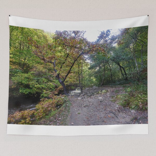 Item preview, Bridge over the Afon Pyrddin, Pontneddfechan, Neath, South Wales designed and sold by VnGphoto.