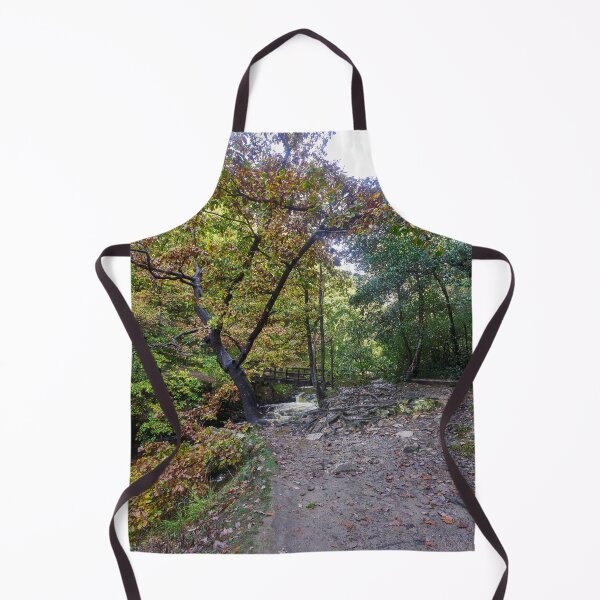 Item preview, Bridge over the Afon Pyrddin, Pontneddfechan, Neath, South Wales designed and sold by VnGphoto.