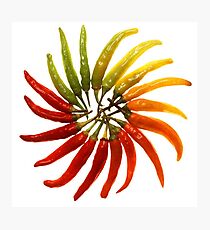 Red Hot Chili Peppers Photographic Print