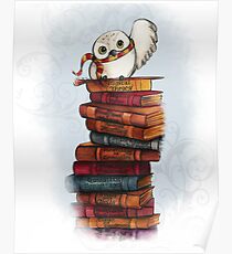 Hedwig Poster