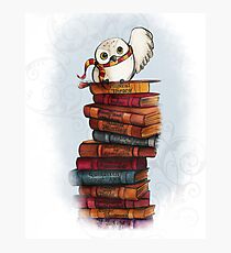Hedwig Photographic Print